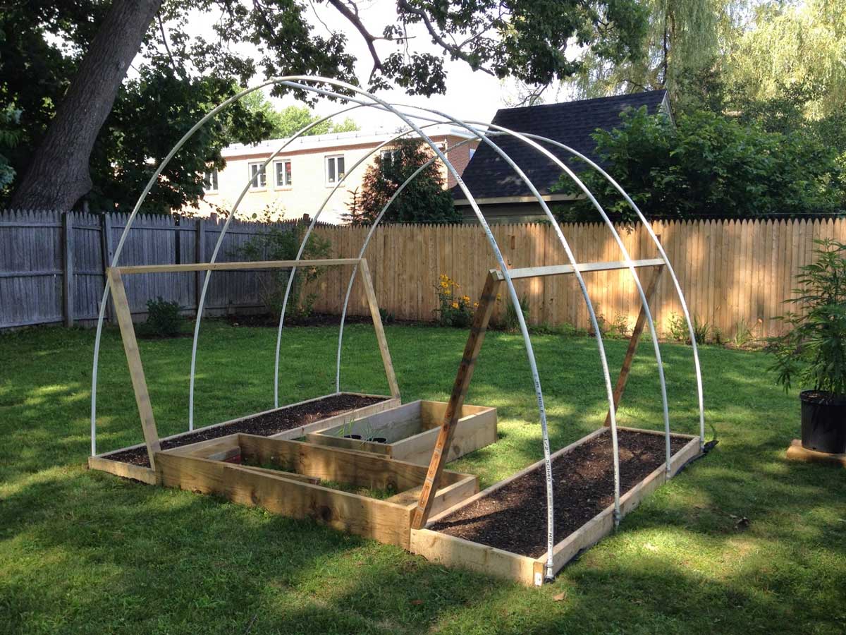 Unbelievable $50 DIY Greenhouse | Grow Weed Easy