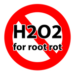 Don't use hydrogen peroxide (H2O2) to try to help with marijuana root problems