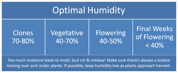 Optimal humidity for different phases of growth