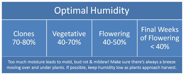 House Humidity Level Chart