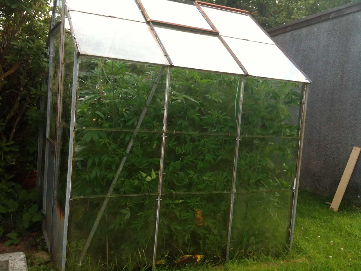 How To Get The Most Home Grown How To Get The Most Home Grown