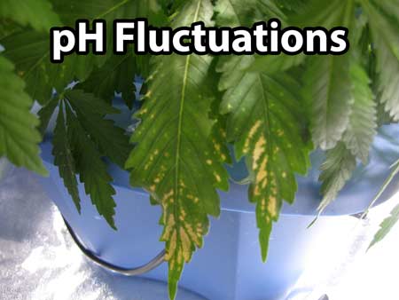 pH Fluctuations