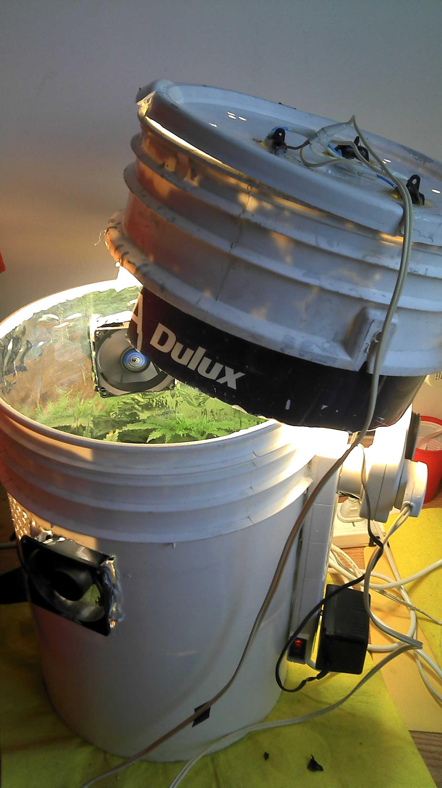 Space Buckets  Start Growing Marijuana For $100!  Grow Weed Easy