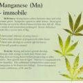 More information about manganese and your marijuana plant