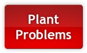 If you run into problems, our "diagnose your plant" tool with pictures will help you figure out what's wrong!