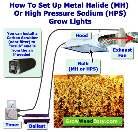 Light Chart For Growing Weed