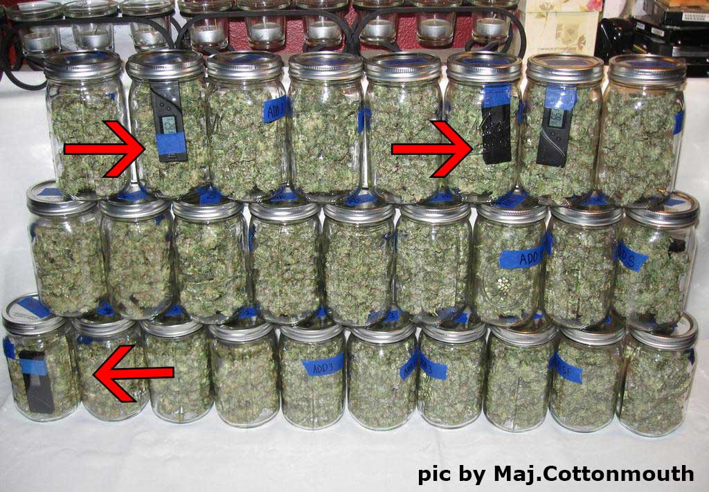 Original Guide to Drying and Curing Marijuana Buds