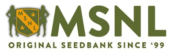 Visit the MSNL Seed Banks website (Original Cannabis Seedbank since '99)