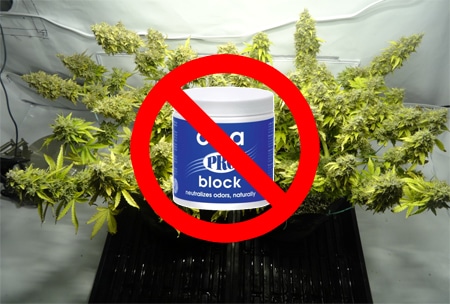 Ona gel should never go in your grow tent or share air with your plants!
