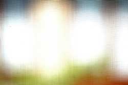 The light color spectrum of your grow lights has an effect on how auto-flowering cannabis plants grow