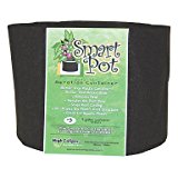 Certain plant containers like "Smart Pots" (fabric pots) provide air from the sides to help prevent overwatering