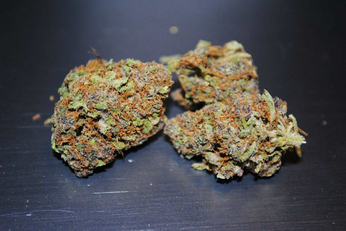 How Can I Grow "Flavored" Marijuana? | Grow Weed Easy