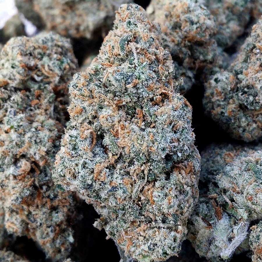 7 Ways to Improve Cannabis Bud Quality Grow Weed Easy