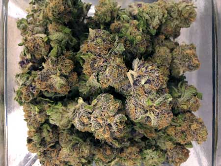 Top-shelf buds look, taste and smell good - and they're potent!