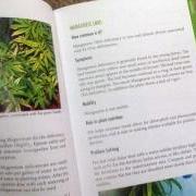Marijuana grow bible review