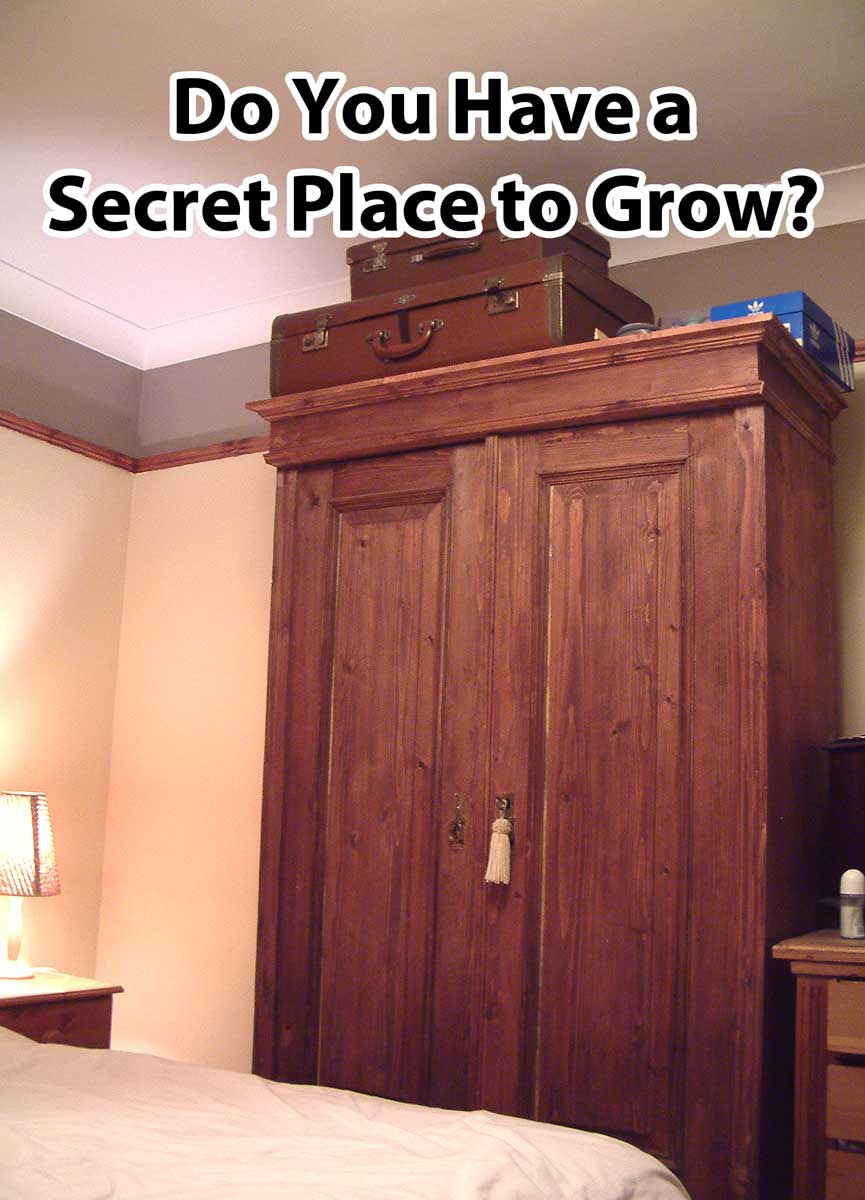 Which Room In The House Is Best For Growing Weed Grow