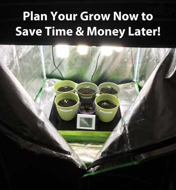 Where is the best place in your house to grow your very own cannabis garden? Plan your grow now to save time and money later!