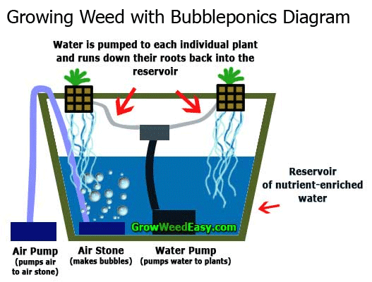 How To Grow Weed In 20 Minutes A Week Using Bubbleponics Grow Weed Easy