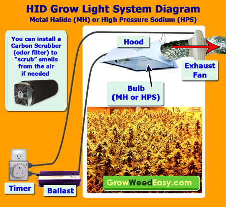 Hid lights for growing weed
