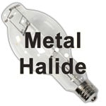 Metal Halide Grow Lights - How Well Do They Work for Growing Cannabis?
