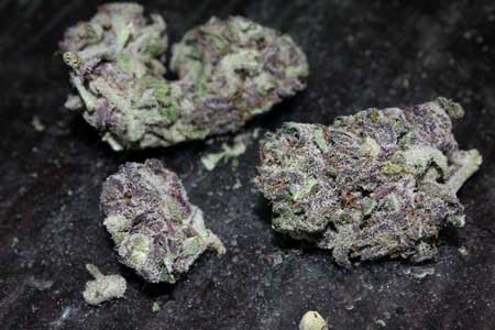 Example of pretty purple nugs (unknown cannabis strain, unfortunately)
