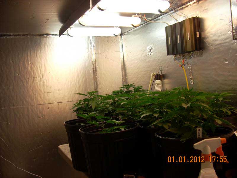 Induction Grow Lights &amp; Plasma Grow Lights Do