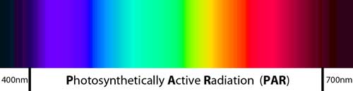 Photosynthetically Active Radiation (known as PAR) is a measure of light in the 400-700nm range.