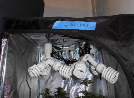 A grow tent looks a lot like a wardrobe, or something else unobtrusive.