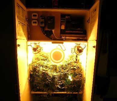 Building An Ultra Stealthy Grow Cabinet Grow Weed Easy