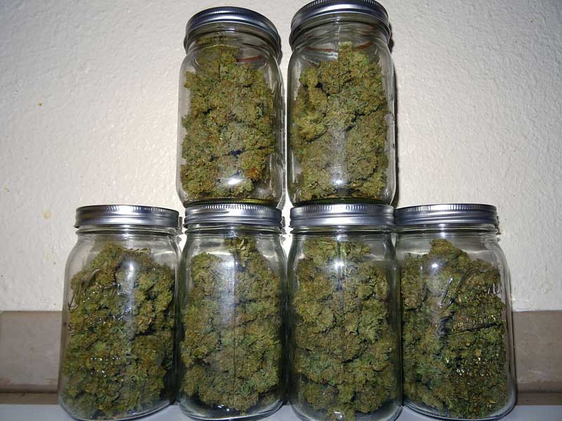 Cannabis Curing Guide Using A Hygrometer & Jars