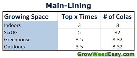 main-lining-chart-number-times-to-top.jp