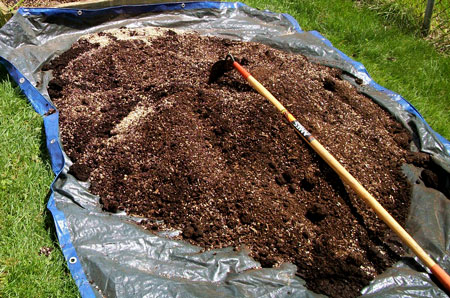 Growing weed in compost