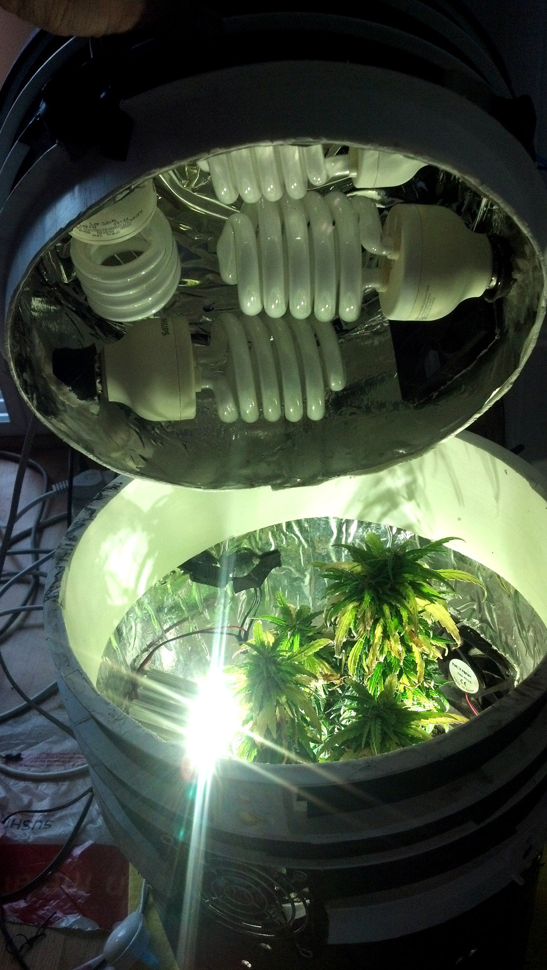 Space Buckets Start Growing Marijuana For 100! Grow Weed Easy