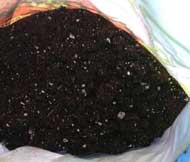 Example of soil that's great for growing cannabis - dark, rich and with some white perlite mixed in