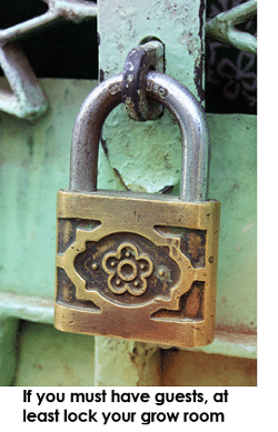 Sometimes you have to have house guests, make sure you lock up your grow room against curious eyes Sometimes you have to have house guests, make sure you lock up your grow room against curious eyes