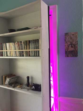 Example of a secret cannabis grow room behind a bookcase. You can see the purple light of an LED grow light spilling out. Keeping your grow stealthy will also keep you safe!