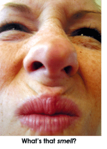 Cannabis plants make a smell, so you need a carbon filter for a smell-free grow