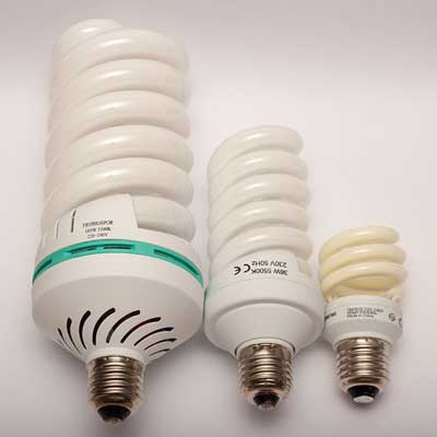 CFL bulbs is varying sizes.