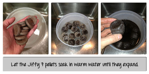 Let the Jiffy 7 pellets soak in warm water until they expand
