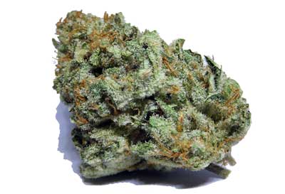 UV-B light can increase the overall smell of cannabis buds