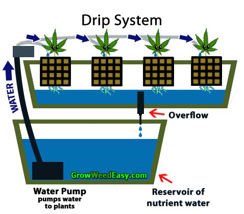 https://www.growweedeasy.com/wp-content/uploads/2014/04/drip-system-diagram.jpg