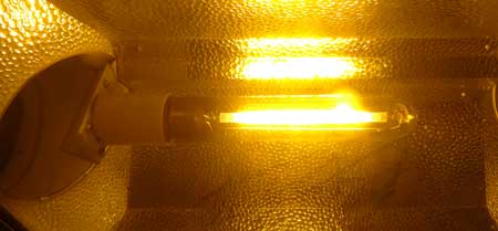 HPS bulb inside a hood reflector - they emit an incredibly bright yellow light