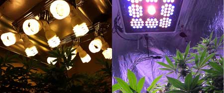 How many watts for growing weed led