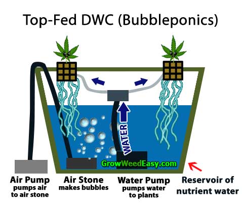 top-fed-dwc-diagram.jpg