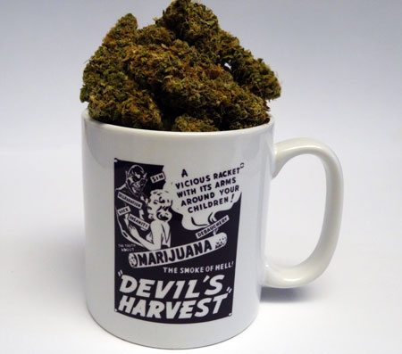 Liberty Haze in a cup showing off some old marijuana scare tactics