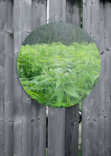 Mirrors are good for reflecting images - not at reflecting light back at your cannabis plants in the grow room