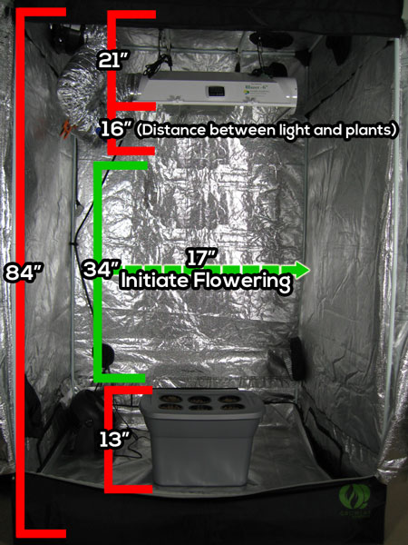 This is a visual example of how space gets split up in my tent!