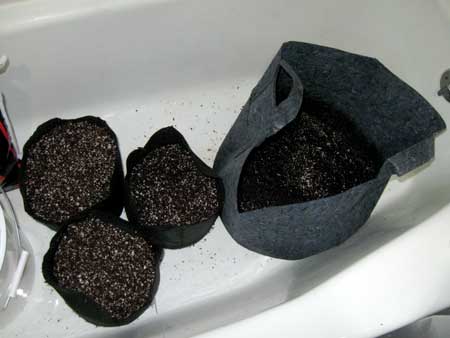 Coco coir for growing weed