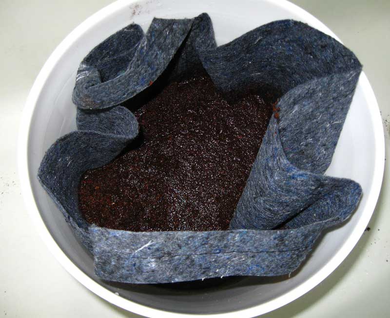 How to Grow Cannabis with Coco Coir Grow Weed Easy