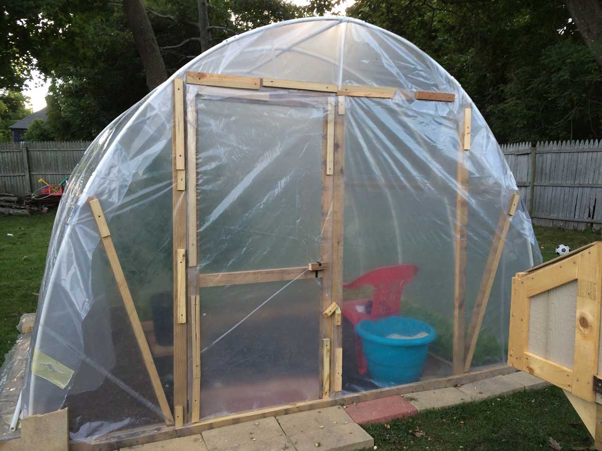 Unbelievable $50 DIY Greenhouse | Grow